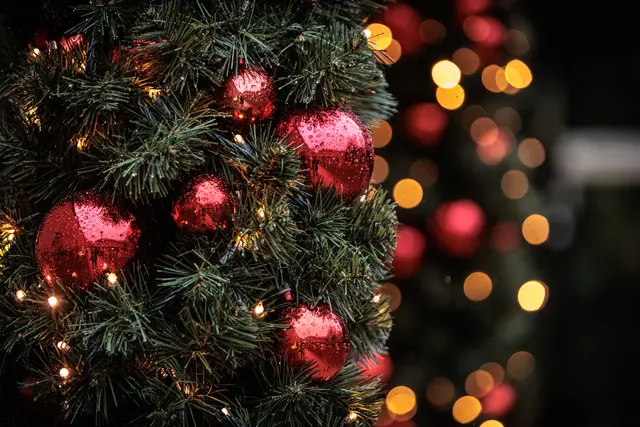 Lichterglanz und festliche Deko - auf dem Weihnachtsmarkt in Germersheim 2025 | Foto: Paul Needham