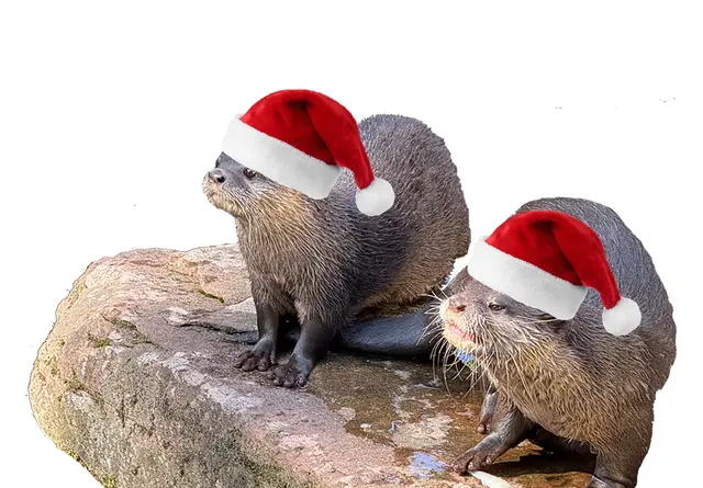 Bei der Nikolaus-Aktion im Zoo Kaiserslautern kommt bei Kindern und Erwachsenen vorweihnachtliche Freude auf | Foto: Collage Zoo KL/gratis