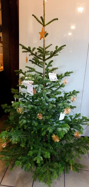 Foto: Michael Bartholomaeus