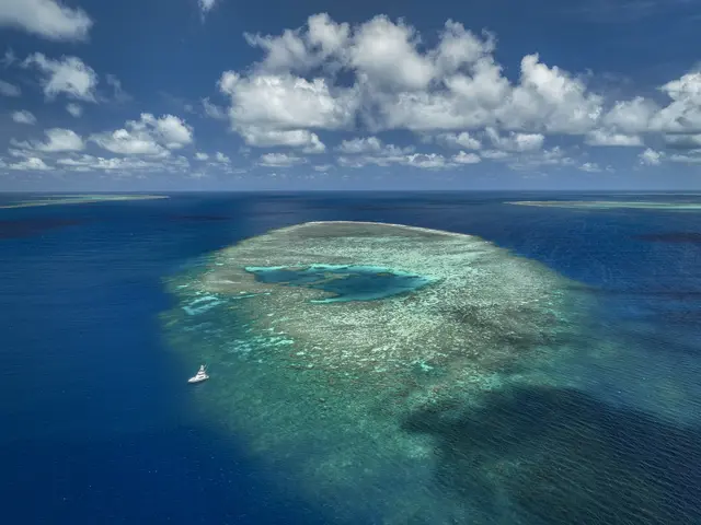 Australien: Das Great Barrier Reef ist so groß wie Deutschland! | Foto: Markus Mauthe