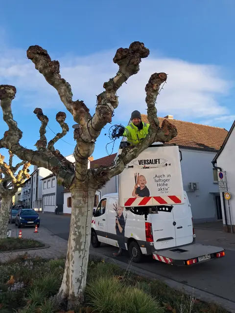 Foto: Stadtverwaltung Schifferstadt