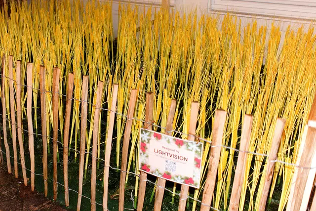 Foto: Michael Bartholomaeus