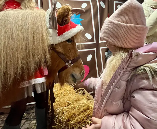 Die Kinder hatten ihre helle Freude an Zauberpony Nemo | Foto: Isabell Eckhardt
