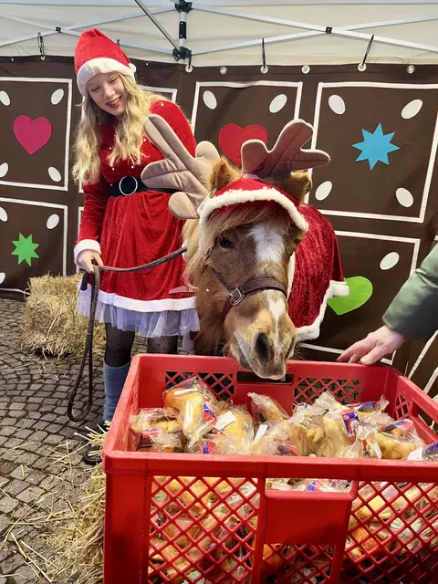 Zauberpony Nemo ganz in seinem Element | Foto: Isabell Eckhardt