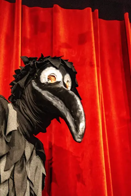 Ein Rabe | Foto: Wolfgang Neuberth