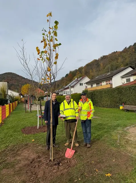Bürgermeister Christian Burkhart, Harald Spieß und Ortsvorsteher Andreas Hauck (v.l.n.r.) mit dem Jubiläumsbaum | Foto: vgv