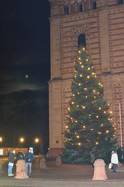 Weihnachtsbaum vorm Dom neben Supermond | Foto: Cornelia Bauer