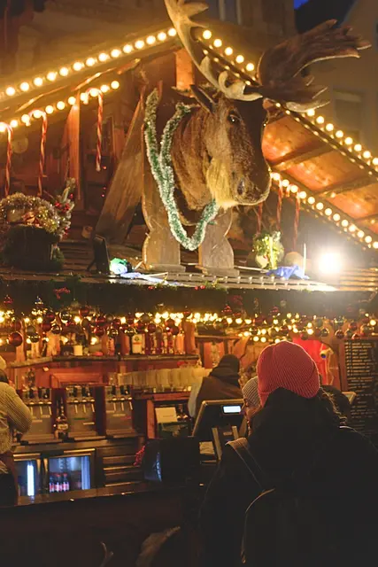 Der Elch gibt Acht | Foto: Cornelia Bauer