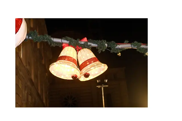 Wunderschöne Stimmung auf dem Speyerer Weihnachtsmarkt | Foto: Cornelia Bauer