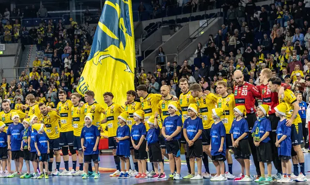 Rhein- Neckar- Löwen | Foto: Wolfgang Neuberth