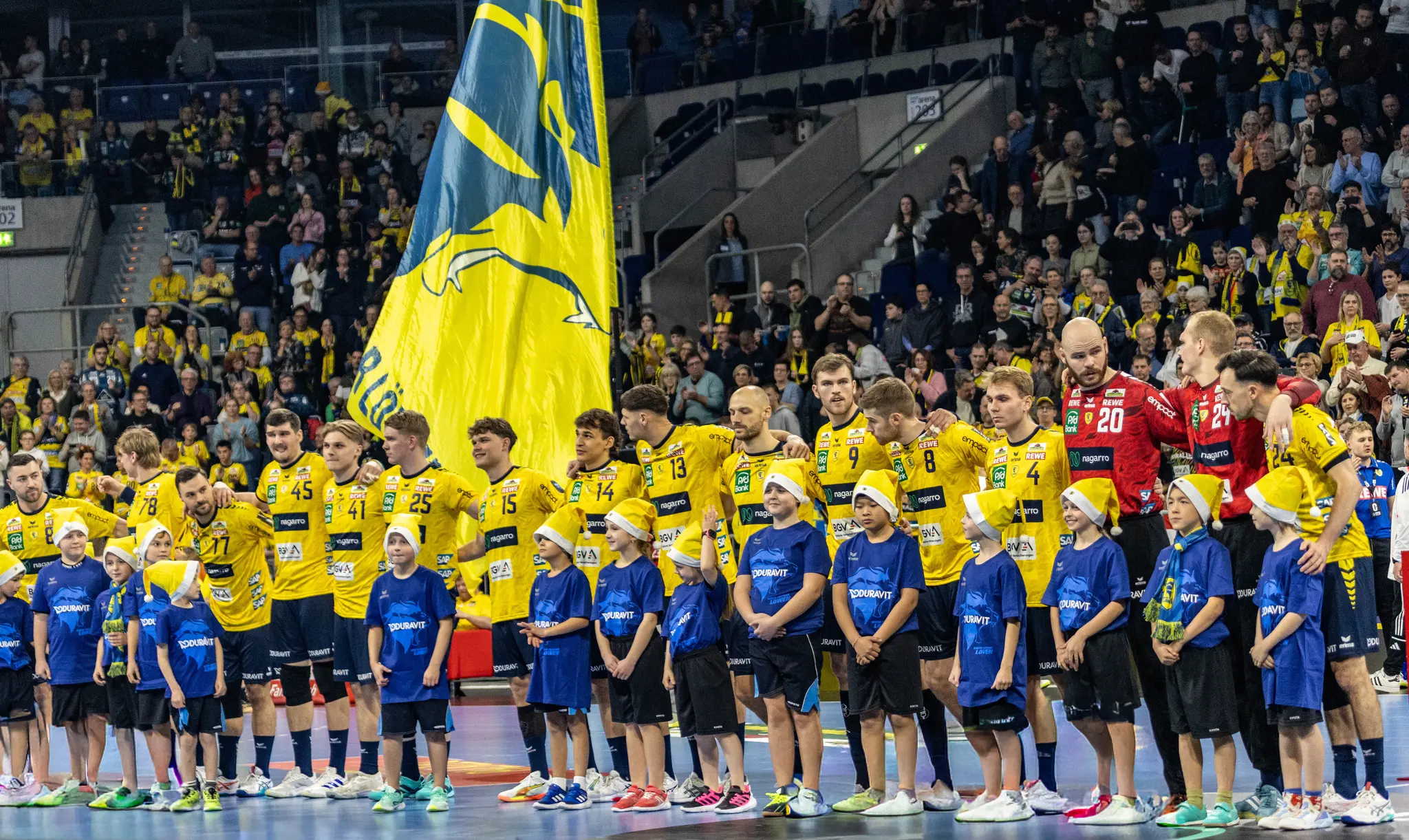 Rhein-Neckar-L-wen-schlagen-Erlangen