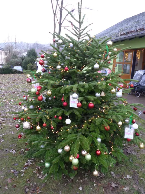 Am Wunschbaum der Kindertagesstätte sind noch einige Wünsche vorhanden. Die Kinder freuen sich über eine schöne Bescherung.  | Foto: Anja Stemler