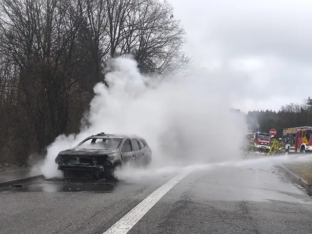 Das Fahrzeug stand binnen kürzester Zeit in Vollbrand | Foto: Polizeiautobahnstation Kaiserslautern