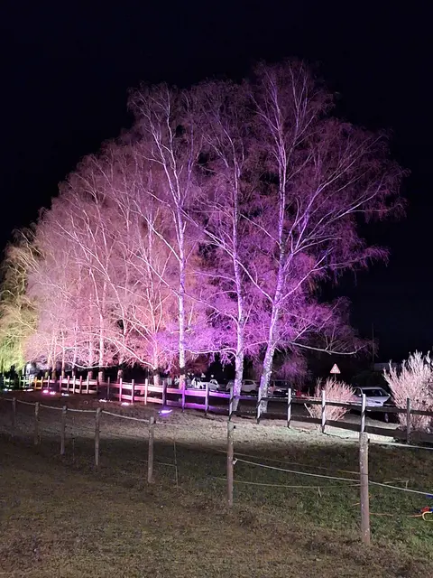 Beleuchtung | Foto: Ich