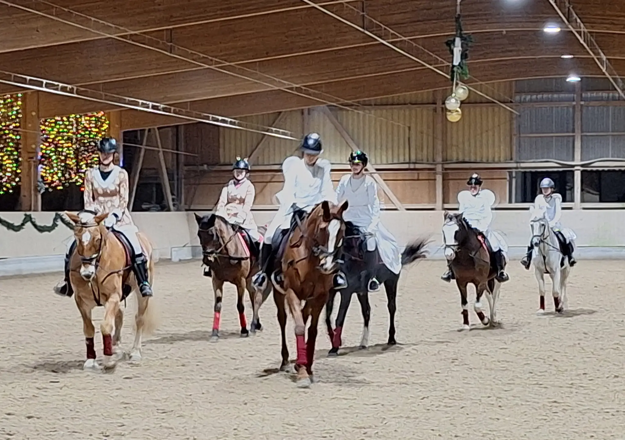 Pferdesport-im-Lichtermeer-Gelungene-Weihnachtsfeier