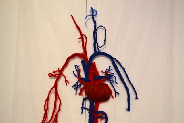 In „Kunst - Stoff. Positionen zeitgenössischer textiler Kunst“ stellt das Forum Alte Post das Genre "Textile Kunst" in den Mittelpunkt einer Wechselausstellung | Foto: Frank Schäfer