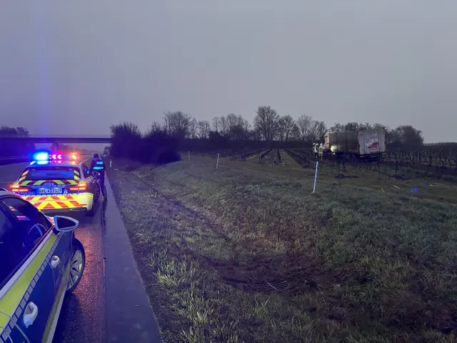 Ein Zuckerrüben-Laster auf Abwegen. Der Fahrer wurde leicht verletzt.  | Foto: Autobahnpolizei Ruchheim