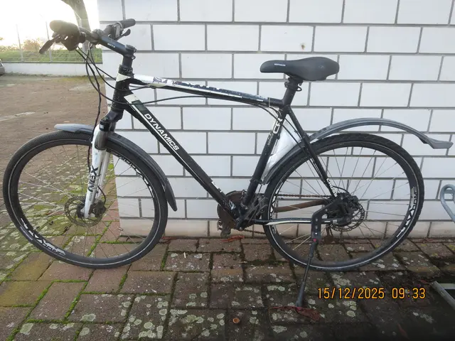 Rad der Marke "Dynamics" | Foto: Polizeipräsidium Mannheim