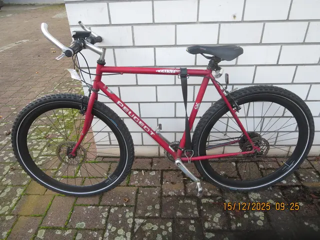 Rad der Marke "Peugeot" | Foto: Polizeipräsidium Mannheim