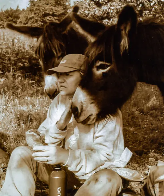 Nach rund 25 Jahren Waldkindergarten „Elfetrippelsche“ ging Leiterin Jutta Messing-Jörg, hier mit ihren beiden Eseln, in den Ruhestand | Foto: Jutta Messing-Jörg/gratis