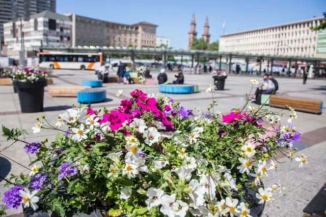 Berliner Platz | Foto: Roland Kohls