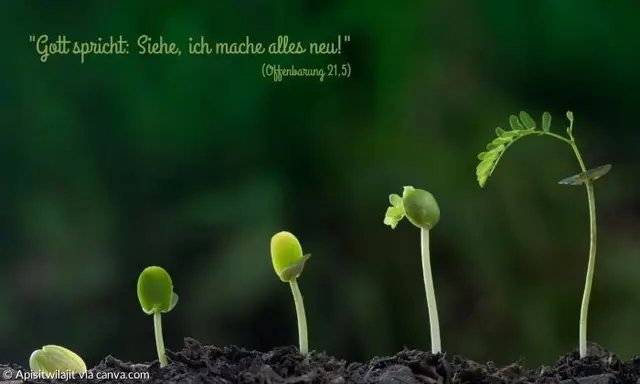 Plakat zur Jahreslosung 2026 | Foto: zur freien Verfügung