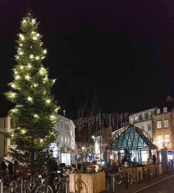 Foto: Michael Bartholomaeus