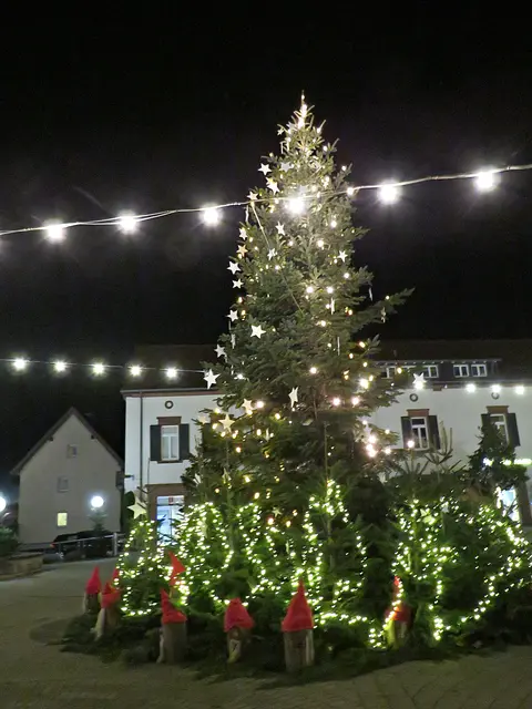 Foto: Brigitte Melder