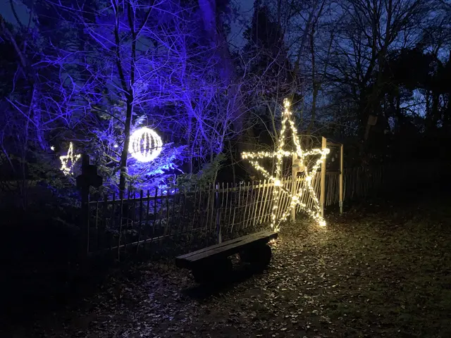 Überall funkeln die Sterne | Foto: Peter Krietemeyer