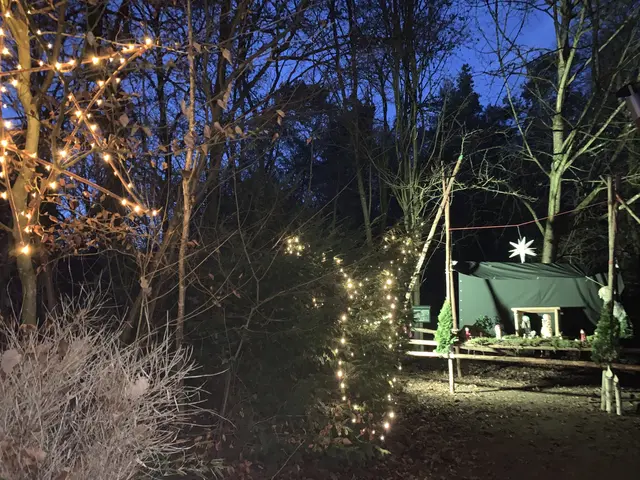 Auch diese Krippe lädt zum Verweilen ein | Foto: Peter Krietemeyer