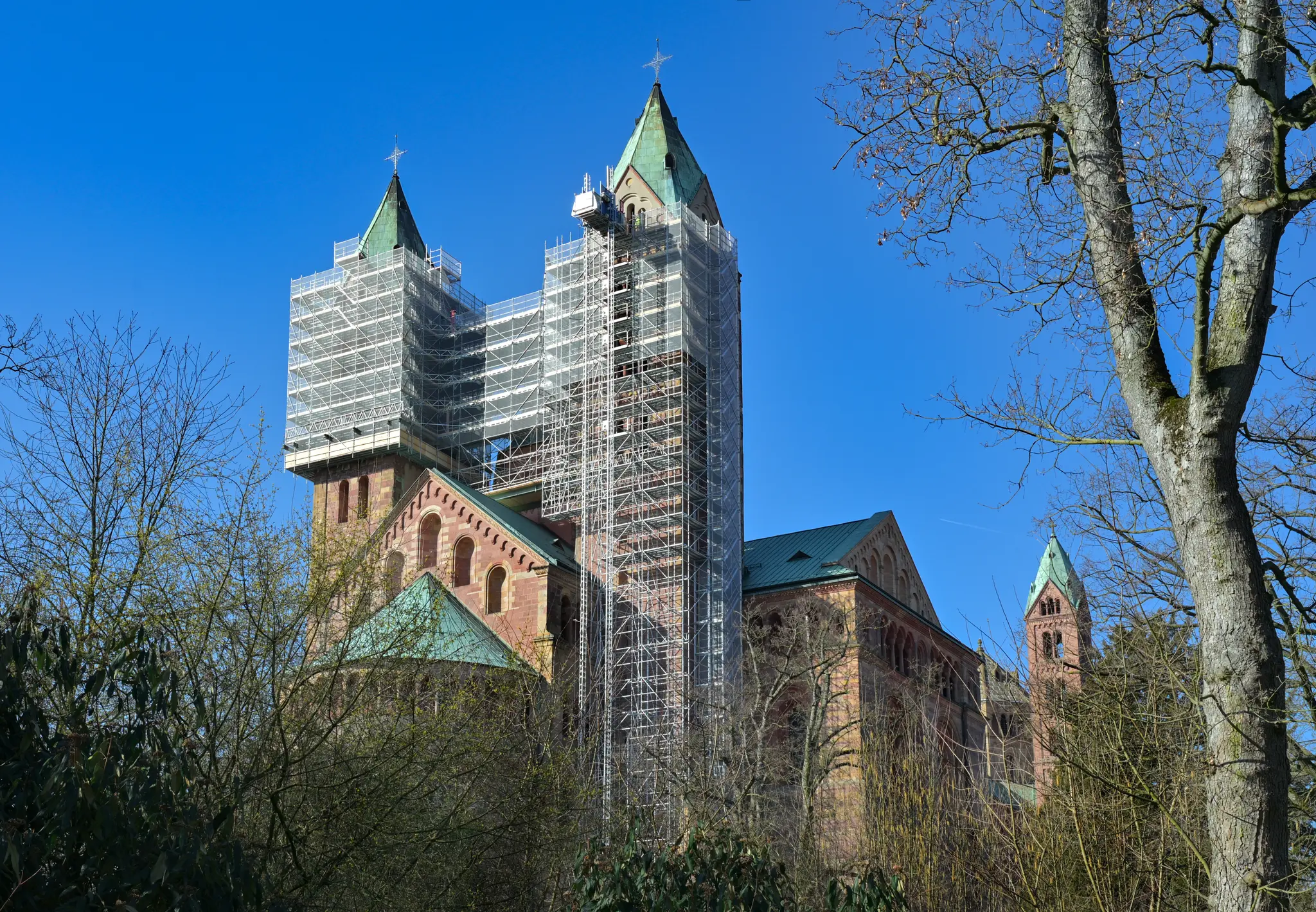 Gro-z-giges-Verm-chtnis-Speyererin-hinterl-sst-dem-Dombauverein-ber-eine-Million-Euro