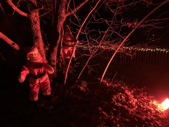 Auch der Nikolaus gibt sich die Ehre | Foto: Peter Krietemeyer