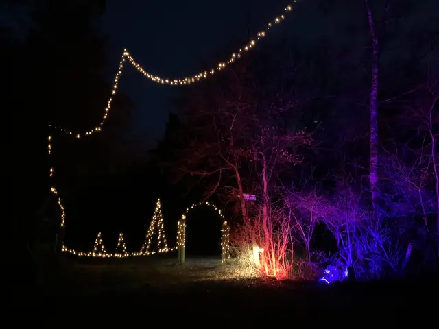 Der Eingang zum Pfadfinderzentrum  | Foto: Peter Krietemeyer