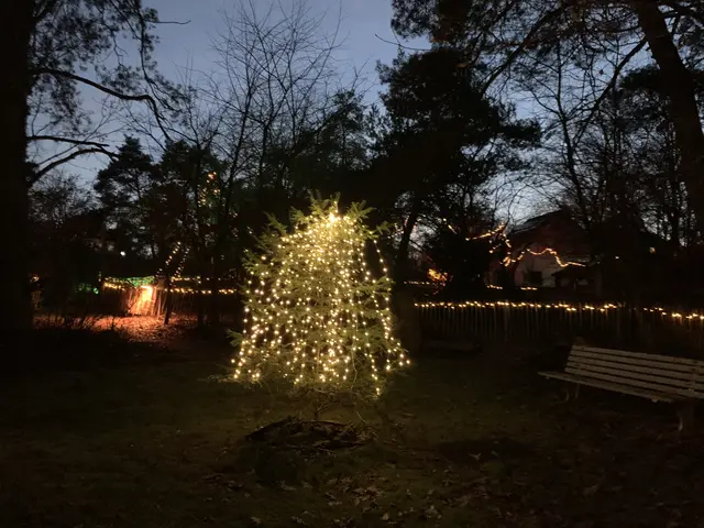 Ein Lichtbaum auf dem Gelände | Foto: Peter Krietemeyer