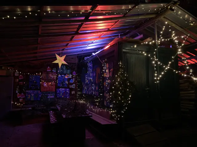 Auch das Freiland-Klassenzimmer zeigt sich geschmückt und illuminiert. | Foto: Peter Krietemeyer