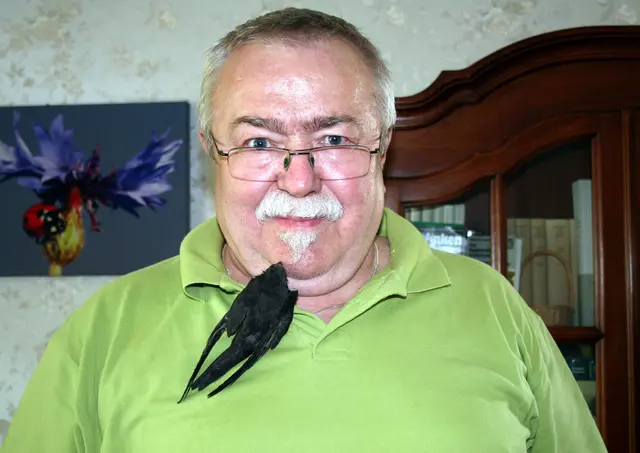 Einer von hunderten von Mauerseglern, die Klemm als früherer Ersatz-Papa aufgepäppelt hat.
 | Foto: Hannelore Schäfer 