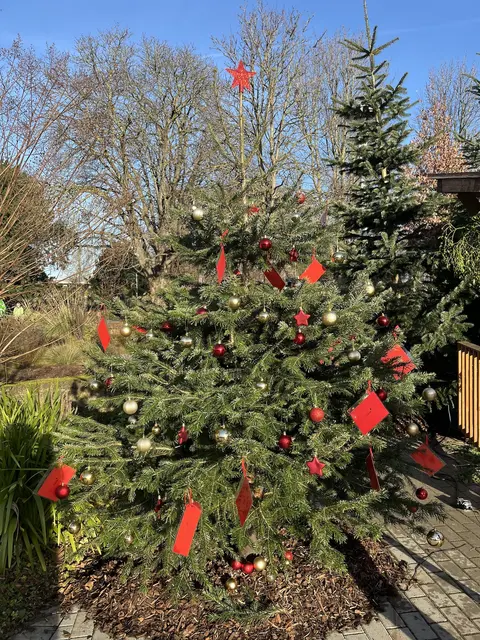 Wunschbaum der Tiere“ im Luisenpark  | Foto: Luisenpark Stadtpark Mannheim gemeinnützige GmbH