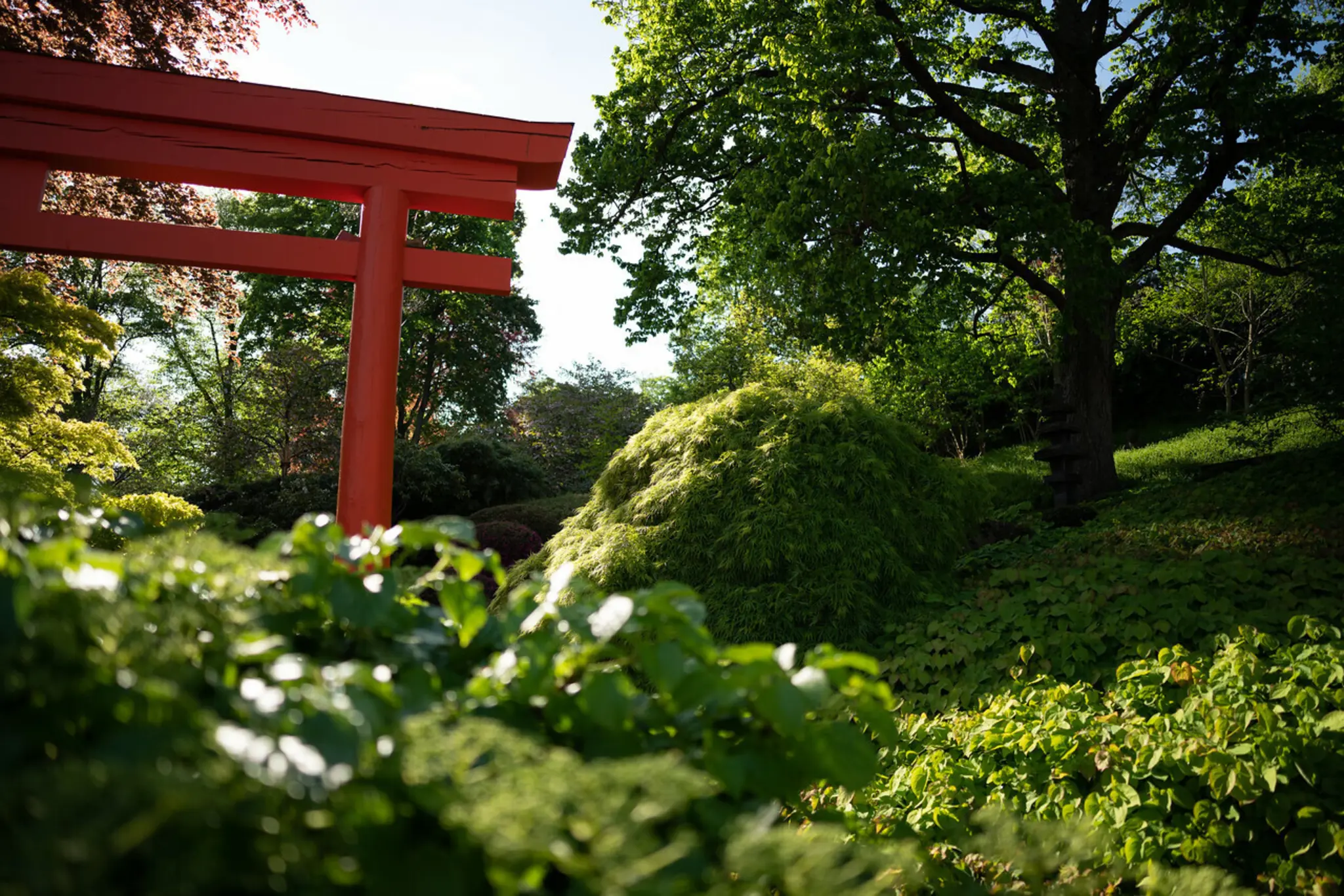 Kaiserslautern-Bau-AG-Stiftung-spendet-f-r-soziale-und-sportliche-Projekte