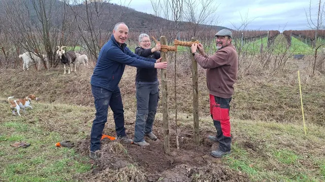 Elke Schemel vom Nabu sowie Bernd Hoos (rechts) und Klaus Hünerfauth von der städtischen Umweltabteilung bei der Pflanzung einer Weinbirne am
Diedesfelder Flutgraben. | Foto: Stadt Neustadt
