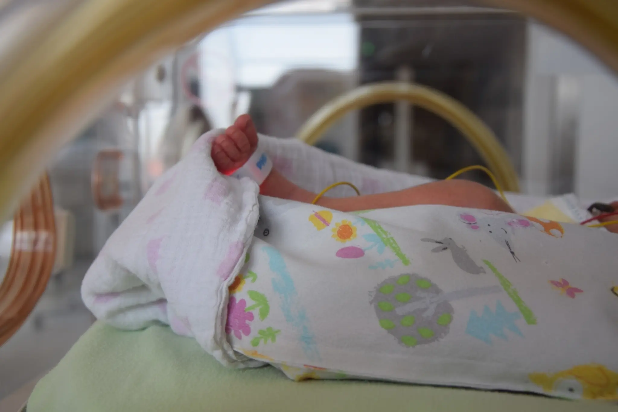 Kleine-K-mpfer-brauchen-gro-e-Unterst-tzung