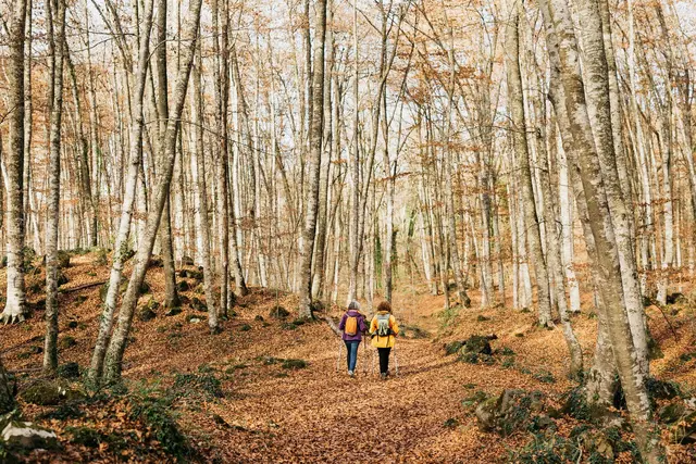 Unter dem Titel „Walk &amp; Talk“ findet am 30. Januar ein gemeinsamer Spaziergang statt | Foto: jordi/stock.adobe.com