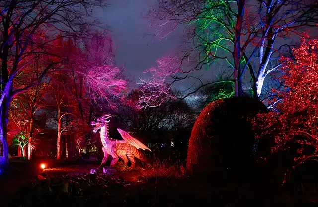 Mit dabei ist der Dragon-Walk, bei dem fünf lebensgroße Drachen spannende Geräusche machen und sich bewegen. | Foto: Luisenpark Mannheim