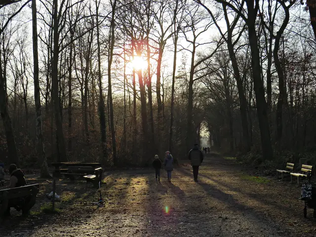 Foto: Brigitte Melder