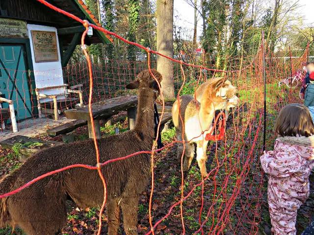 Foto: Brigitte Melder