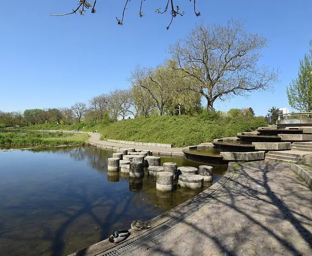 Der Brunnen in der Günther-Klotz-Anlage mit Blick auf die terrassierten Becken | Foto: Stadt Karlsruhe, Monika Müller-Gmelin