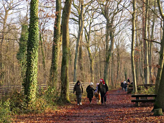 Foto: Brigitte Melder