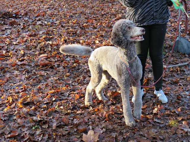 Foto: Brigitte Melder