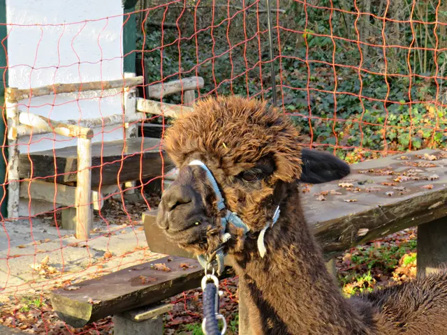 Foto: Brigitte Melder