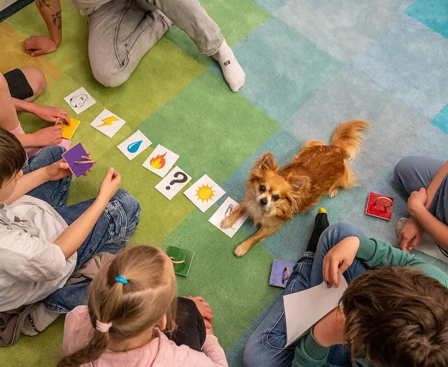 Lesehund Capper liegt auf buntem Teppich, mit Bilderkarten umringt von Kindern | Foto: Stadt Karlsruhe, Boris Burghardt