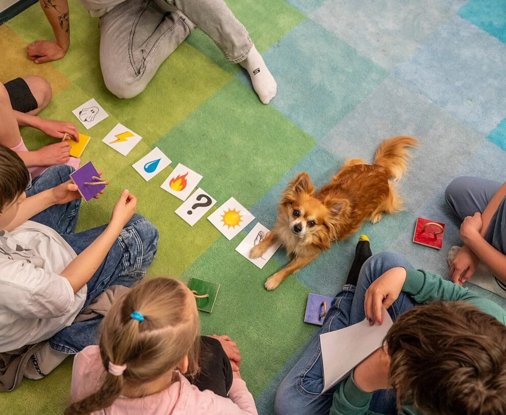 Therapiehund-unterst-tzt-Lesef-rderung-f-r-Kinder-in-Karlsruhe